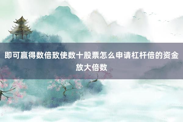 即可赢得数倍致使数十股票怎么申请杠杆倍的资金放大倍数