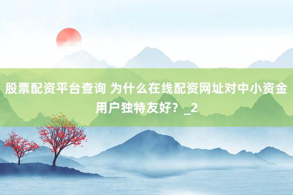股票配资平台查询 为什么在线配资网址对中小资金用户独特友好？_2